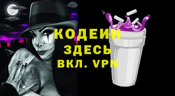 молекула духа Няндома