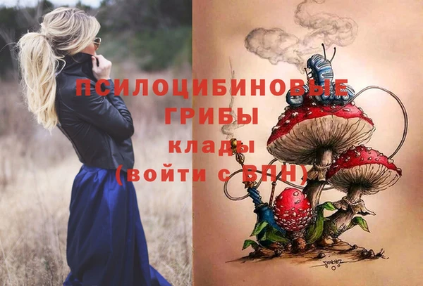 Альфа ПВП Армянск