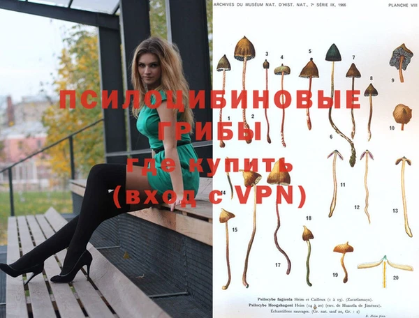 MESCALINE Нязепетровск
