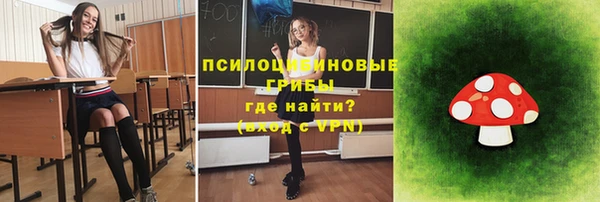 крисы Аркадак