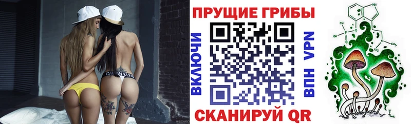 Купить где  Белоярский  Псилоцибиновые грибы мухоморы 